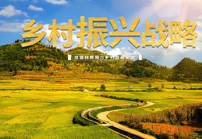 政策解讀：2023年數(shù)字鄉(xiāng)村發(fā)展工作要點